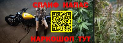 МДПВ Можайск