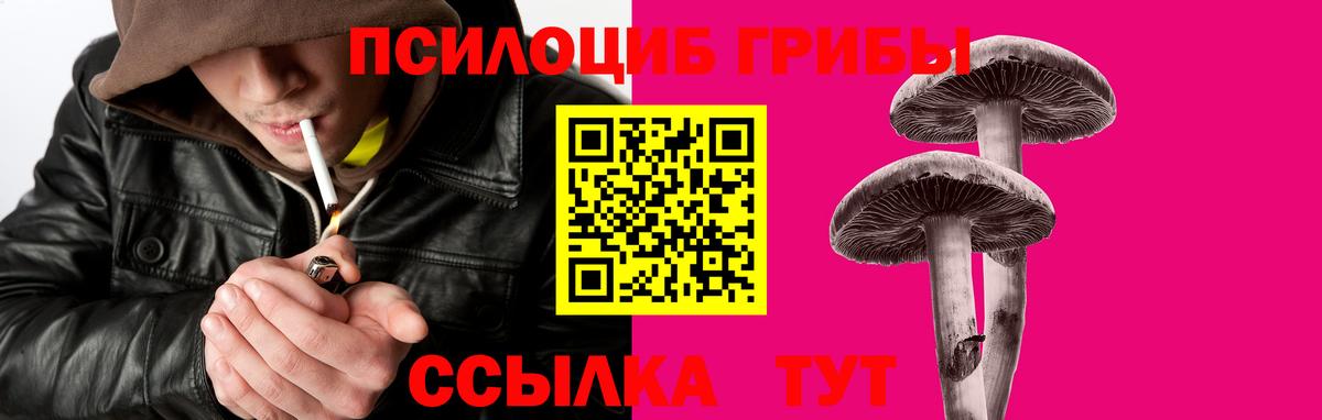 Шадринск  Галлюциногенные грибы MAGIC MUSHROOMS  Галлюциногенные грибы мицелий  Вход с VPN 